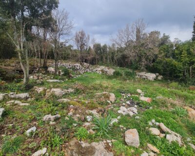 Vila u Djuraševićima – 2025